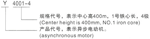 西安泰富西玛Y系列(H355-1000)高压从江三相异步电机型号说明